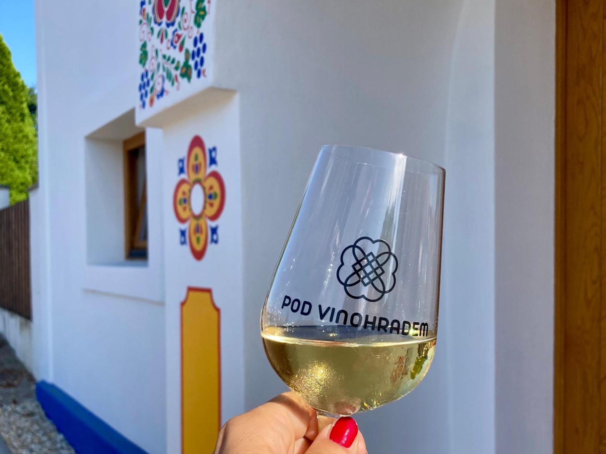 Pod Vinohradem - Apartmany & Vinne Sklepy Мутенице Экстерьер фото